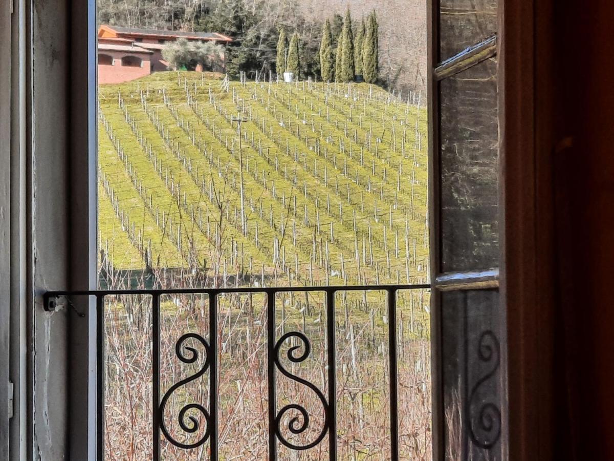 Agriturismo Tenuta Adamo Lucca Esterno foto