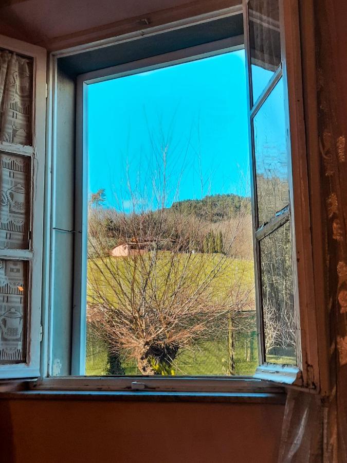 Agriturismo Tenuta Adamo Lucca Esterno foto